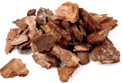 Pine Bark Extract Pinus Pinaster SEO Optimized